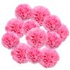 Hocansen 12Pcs Tissue Paper Pompoms 10in+12in Paper Pom Poms Flowers Fluffy Paper Flower Ball for Wall Party Hanging Decoration (RQH/Pink) view 1