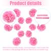 Hocansen 12Pcs Tissue Paper Pompoms 10in+12in Paper Pom Poms Flowers Fluffy Paper Flower Ball for Wall Party Hanging Decoration (RQH/Pink) view 3