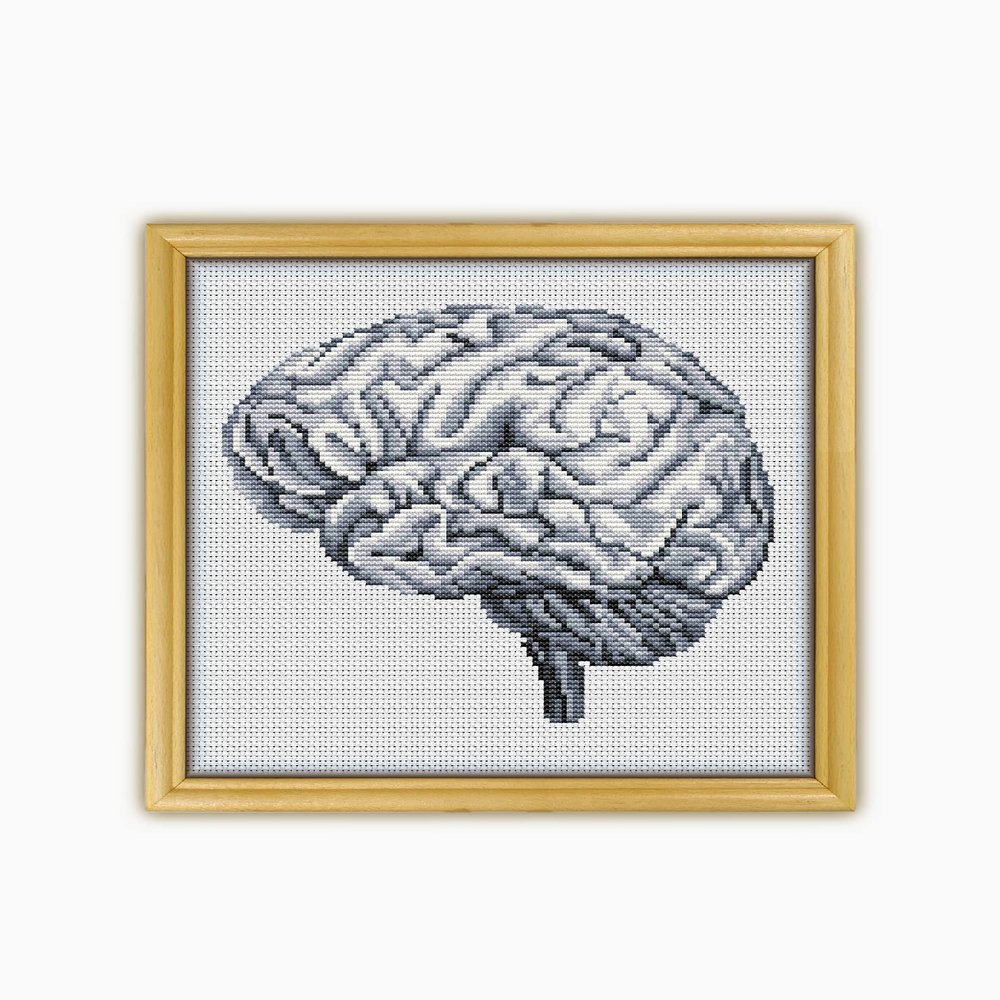 Brain The Human Anatomy CS2056 - Counted Cross Stitch Pattern. Only Printed Pattern Inside. No Fabric, Threads, Needles, Hoops.