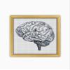 Brain The Human Anatomy CS2056 - Counted Cross Stitch Pattern. Only Printed Pattern Inside. No Fabric, Threads, Needles, Hoops. view 1