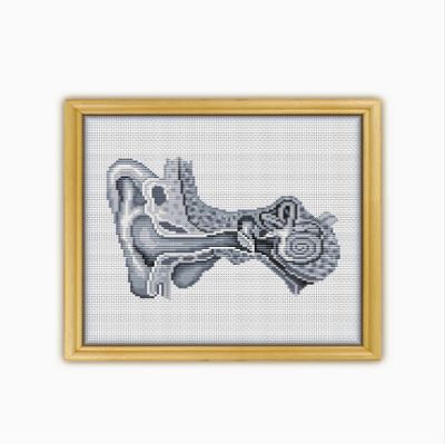 Ear The Human Anatomy CS2062 - Counted Cross Stitch Pattern. Only Printed Pattern Inside. No Fabric, Threads, Needles, Hoops.