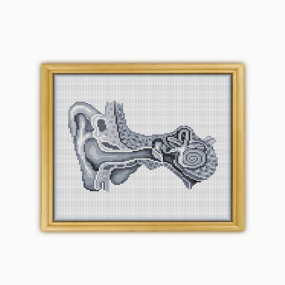 Ear The Human Anatomy CS2062 - Counted Cross Stitch Pattern. Only Printed Pattern Inside. No Fabric, Threads, Needles, Hoops.