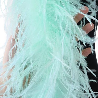 Red Ostrich Feathers Boas,Fluffy Natural Crafts,DIY Shawl 4/6/8/10 Layers Plumes On Ribbon Wedding Dress Decorative Feathers for Crafts (Color : Mint Green, Size : 2 Ply)