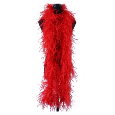 6 Ply Fluffy Ostrich Feathers Boa,Decoration for Wedding Party Fashion Show/Clothing Match/Costume Decoration/Drama Show/Shawl Scarf Accessories 2 Meters/Pcs (Color : Red)
