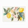 Trademark Fine Art Kristy Rice 'Citrus Summer I' Outdoor Canvas 22x32 view 1