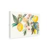 Trademark Fine Art Kristy Rice 'Citrus Summer I' Outdoor Canvas 22x32 view 2
