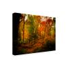 Trademark Fine Art J.D. Mcfarlan 'Deep Woods' Outdoor Canvas 18x24 view 2
