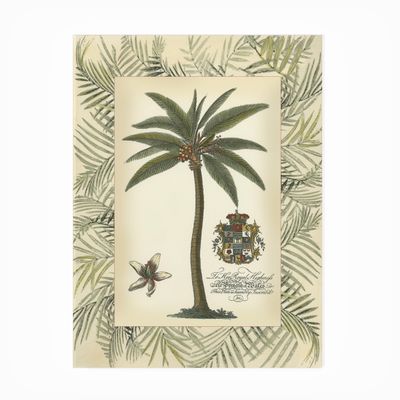 Trademark Fine Art Vision Studio 'Palm In Bamboo Frame I' Outdoor Canvas 14x19