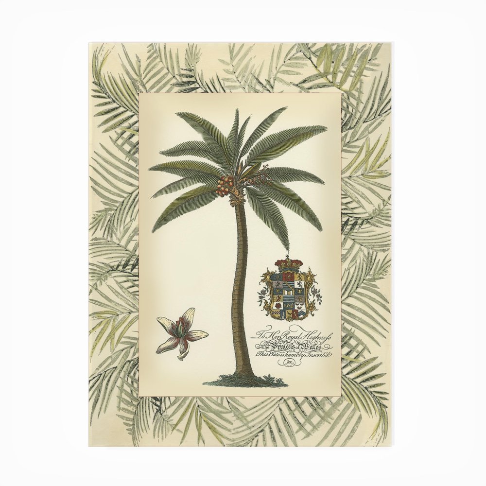 Trademark Fine Art Vision Studio 'Palm In Bamboo Frame I' Outdoor Canvas 14x19