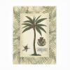 Trademark Fine Art Vision Studio 'Palm In Bamboo Frame I' Outdoor Canvas 14x19 view 1