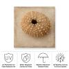 Trademark Fine Art Judy Stalus 'Sepia Shell III' Outdoor Canvas 35x35 view 3