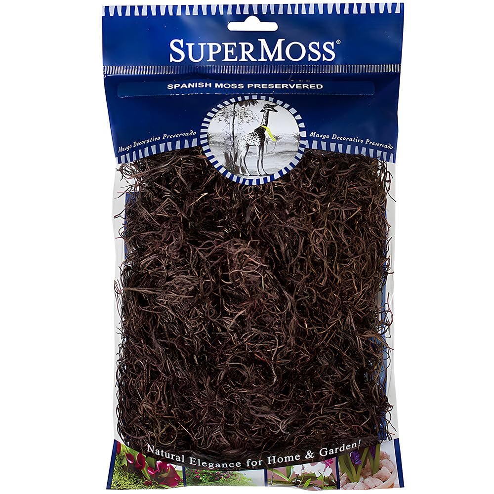 Coffee-Colored Spanish Moss 2 oz.
