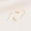 ASTAUT 14k Gold Filled Flat Fishhook Earwire with Coil 10 pcs view 2
