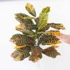 Factory Direct Craft Artificial Croton Leaf Plant Fake Greenery for Tropical Arrangements and Everyday Displays - 34 Inches view 4