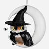 Bethany Lowe Witchy Owl On Moon Paper Mache Figurine view 1