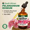 100% Pure Rose Geranium Oil - 4 Fl Oz Rose Geranium Essential Oil for Hair, Skin, Diffuser, Aromatherapy & DIY Soap Making Scent view 3