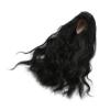 1/6 Doll Wig, Decoration Soft Touch Jointed Doll Wig Heat with Bangs for Doll Dress Up (Black) view 3
