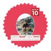 16x20 Mat Bevel Cut for 11x14 Photos - Precut Cardinal Red Oval Shaped Photo Mat Board Opening - Acid Free Matte to Protect Your Pictures - Bevel Cut for Family Photos, Pack of 10 Matboards Show Kits view 1