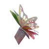 Clarity Stamps Happy Birthday Butterflies A6 Groovi Plate view 2