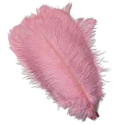 100PCS Light Pink Natural Ostrich Feather Gatsby Amazing Wedding Party DIY Ball Decoration Production Accessories
