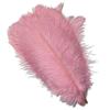 100PCS Light Pink Natural Ostrich Feather Gatsby Amazing Wedding Party DIY Ball Decoration Production Accessories view 1