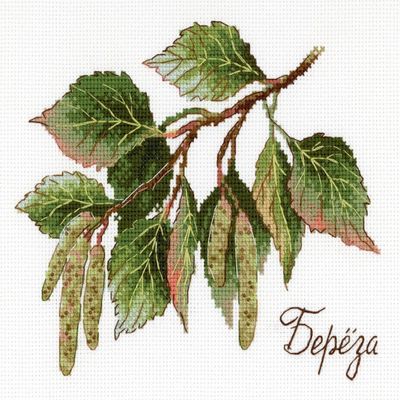 MP Studia Cross Stitch Embroidery Kits for Adults and Beginners Flora - Gifts of Nature - Birch 15x12cm/5.91x4.72 18 ct.