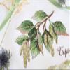 MP Studia Cross Stitch Embroidery Kits for Adults and Beginners Flora - Gifts of Nature - Birch 15x12cm/5.91x4.72 18 ct. view 3