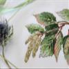 MP Studia Cross Stitch Embroidery Kits for Adults and Beginners Flora - Gifts of Nature - Birch 15x12cm/5.91x4.72 18 ct. view 4