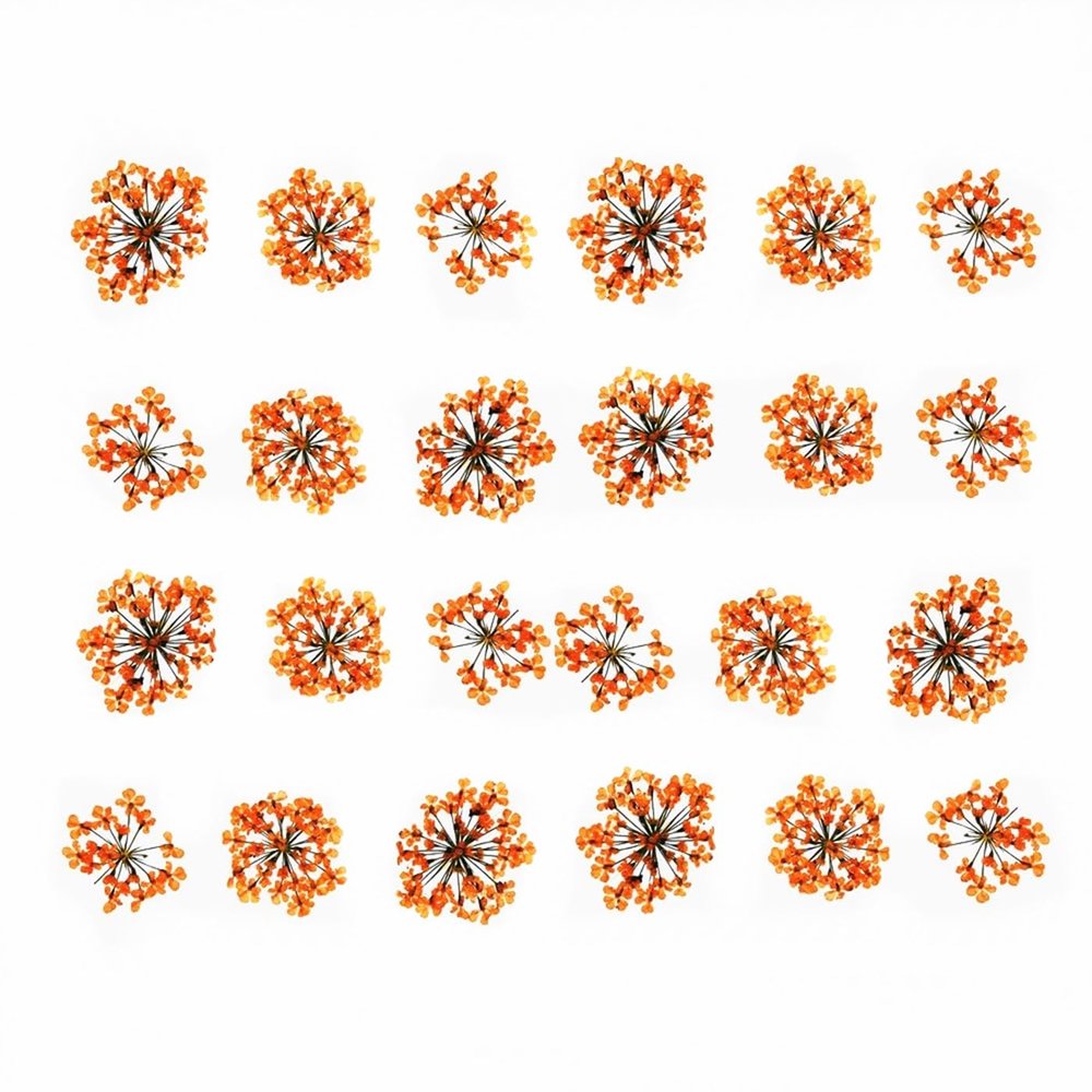 72 pcs 3D Nails Dried Flowers Lace Flower 2-2.5cm Natural Flowers for Resin Casting Pressed Flower for Nail Art Supplies Decal Nail Sticker (Orange)