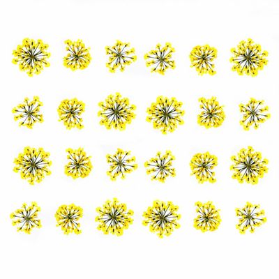 72 pcs 3D Nails Dried Flowers Lace Flower 2-2.5cm Natural Flowers for Resin Casting Pressed Flower for Nail Art Supplies Decal Nail Sticker (Yellow)