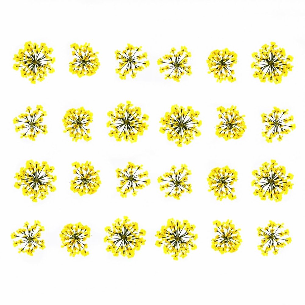 72 pcs 3D Nails Dried Flowers Lace Flower 2-2.5cm Natural Flowers for Resin Casting Pressed Flower for Nail Art Supplies Decal Nail Sticker (Yellow)