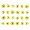 72 pcs 3D Nails Dried Flowers Lace Flower 2-2.5cm Natural Flowers for Resin Casting Pressed Flower for Nail Art Supplies Decal Nail Sticker (Yellow) view 1