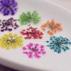 72 pcs 3D Nails Dried Flowers Lace Flower 2-2.5cm Natural Flowers for Resin Casting Pressed Flower for Nail Art Supplies Decal Nail Sticker (Yellow) view 3