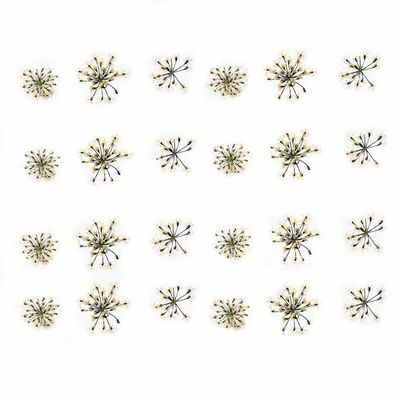 72 pcs 3D Nails Dried Flowers Lace Flower 2-2.5cm Natural Flowers for Resin Casting Pressed Flower for Nail Art Supplies Decal Nail Sticker (White)
