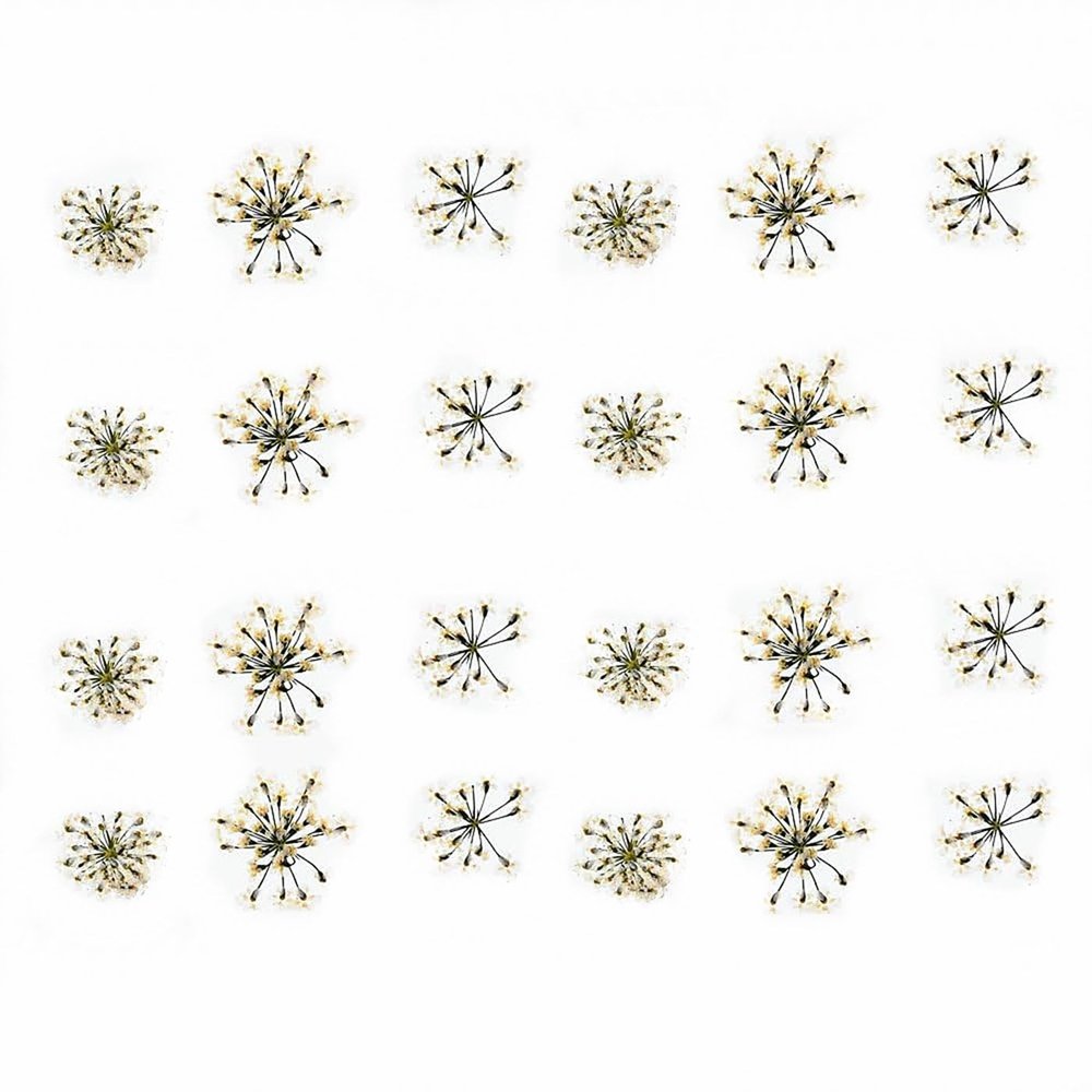 72 pcs 3D Nails Dried Flowers Lace Flower 2-2.5cm Natural Flowers for Resin Casting Pressed Flower for Nail Art Supplies Decal Nail Sticker (White)
