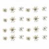 72 pcs 3D Nails Dried Flowers Lace Flower 2-2.5cm Natural Flowers for Resin Casting Pressed Flower for Nail Art Supplies Decal Nail Sticker (White) view 1
