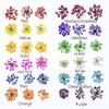 72 pcs 3D Nails Dried Flowers Lace Flower 2-2.5cm Natural Flowers for Resin Casting Pressed Flower for Nail Art Supplies Decal Nail Sticker (White) view 4