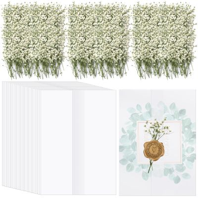 Fabbay 100 Pcs Wedding Invitations Wraps Set Include Pre Folded Vellum Jackets for 5 x 7 Inch Invitations Natural Dried Pressed Flowers for Wedding Craft DIY