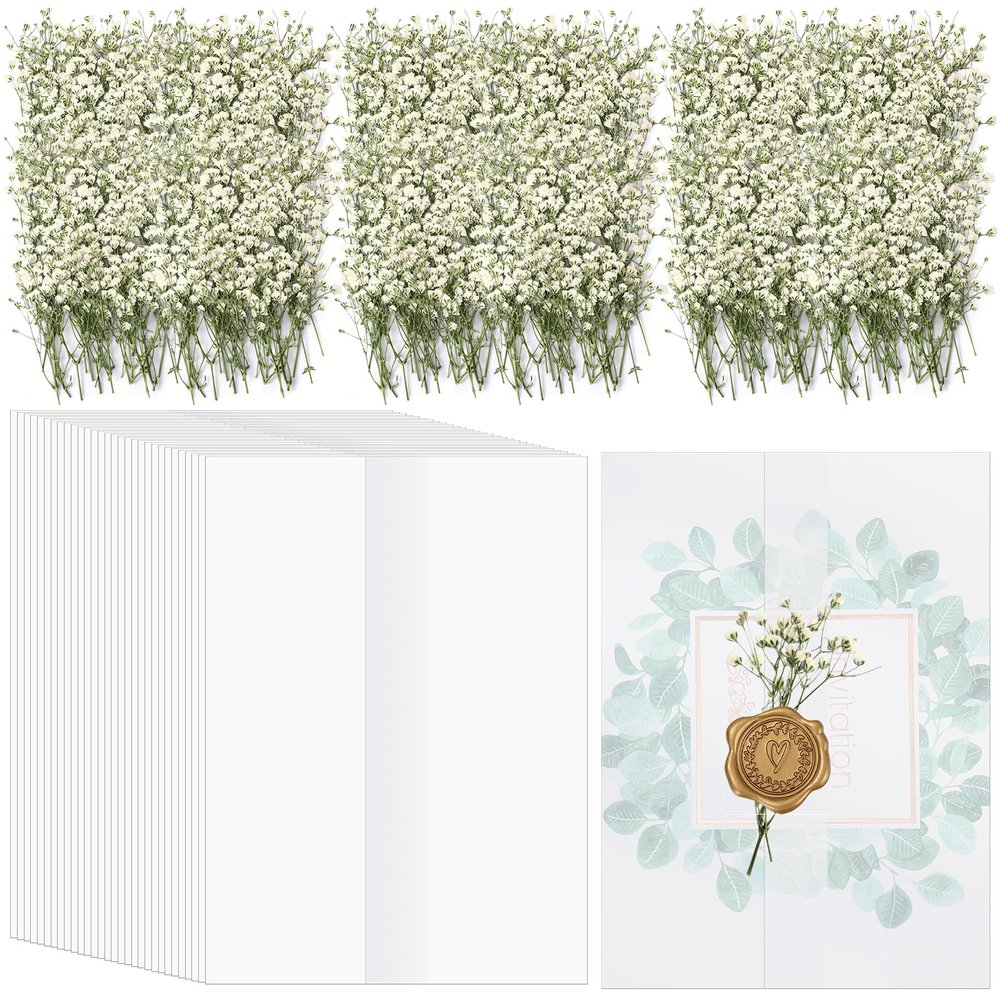 Fabbay 100 Pcs Wedding Invitations Wraps Set Include Pre Folded Vellum Jackets for 5 x 7 Inch Invitations Natural Dried Pressed Flowers for Wedding Craft DIY