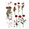 ZXMNBH Stickers for Scrapbooking Kit Red Rose Aesthetic Paper Diary Planner Junk Journaling Decorative Supplies 12 Pcs/Pack view 1