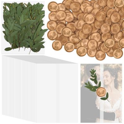 Tigeen 100 Set Invitations Wraps Set Includes Pre Folded Vellum Jackets for 5 x 7 Invitations Dried Pressed Eucalyptus Leaves Eucalyptus Gold Wax Seal Stickers for Wedding DIY Craft Gift