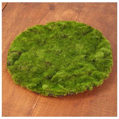 Set of 2 Artificial Round Moss Sheets by Factory Direct Craft for Craft Projects, Fairy Gardens and Displays - 10 Inches Dia Each