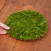 Set of 2 Artificial Round Moss Sheets by Factory Direct Craft for Craft Projects, Fairy Gardens and Displays - 10 Inches Dia Each view 4
