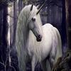RMSGOZO Unicorn White Horse Diamond Painting - Silent Forest Diamond Art Kits, Exquisite Full Circle Gemstone Fine Rhinestone Art Kit for Beginners, for Room Decor (8 X 12 Inch) view 1
