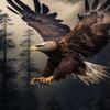 DIY Diamond Painting Kits for Adults, Flying Eagle Round Full Drill 5D DIY Diamond Painting Art Kits for Home Decoration and Room Wall Decor 12x16 inch view 1