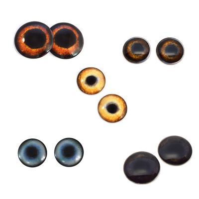Megan's Beaded Designs 5 Pairs Bundle Puppy Dog Inspired Eye Cabochons Set of 10 Eyes - Bulk Wholesale Lot - Taxidermy Art Sculptures or Jewelry Making Supply (25mm)