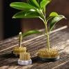 Floral Arrangement Kit, 10 Pieces Flower Tools Include Flower Kenzan, Correcting Tool, Floral Tape, Iron Wire and Scissor, Flower Arrangement Decoration Fixing Tool Set view 2