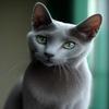 DIY Diamond Painting Kits for Adults, Surprised Russian Blue Cat Round Full Drill 5D Diamonds Gem Art Drill Home Decoration Kits and Room Wall Decor 12x16 inch view 1