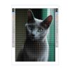 DIY Diamond Painting Kits for Adults, Surprised Russian Blue Cat Round Full Drill 5D Diamonds Gem Art Drill Home Decoration Kits and Room Wall Decor 12x16 inch view 2
