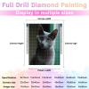 DIY Diamond Painting Kits for Adults, Surprised Russian Blue Cat Round Full Drill 5D Diamonds Gem Art Drill Home Decoration Kits and Room Wall Decor 12x16 inch view 3